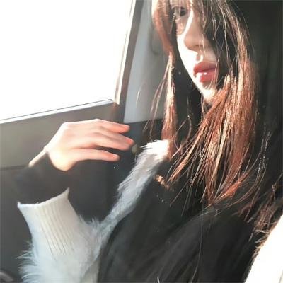 情陷亚维农